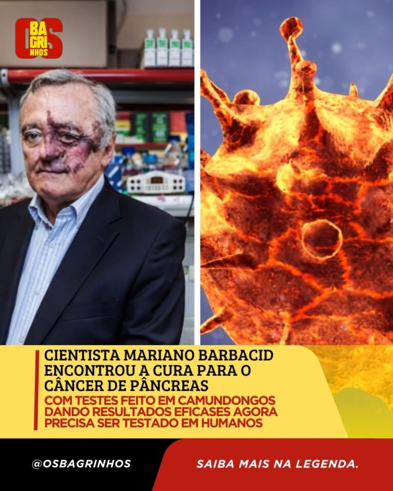 Cientista espanhol anuncia avanço promissor contra o câncer de pâncreas e busca recursos para testes em humanos