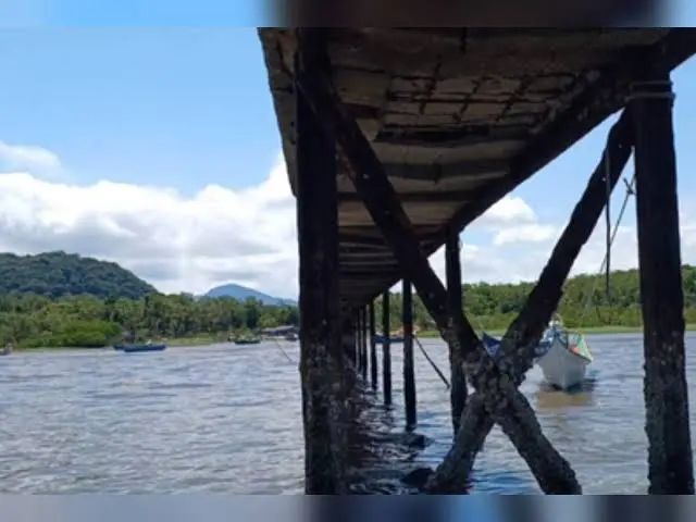 Imagem Internet
Trapiche da Ilha de São Miguel ( Paranaguá) vista por baixo..