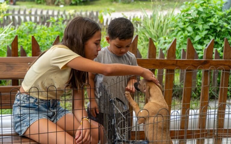 Paranaguá realizou no sábado, dia 28, feira de adoção e reforça compromisso com causa animal