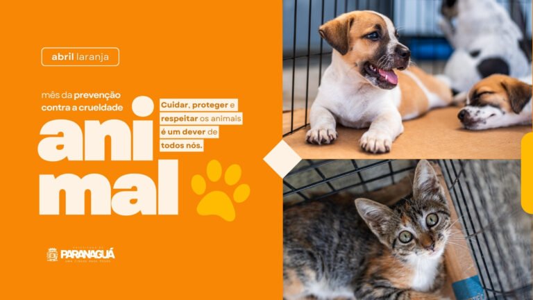 Abril Laranja reforça combate aos maus-tratos e incentiva adoção responsável de animais em Paranaguá