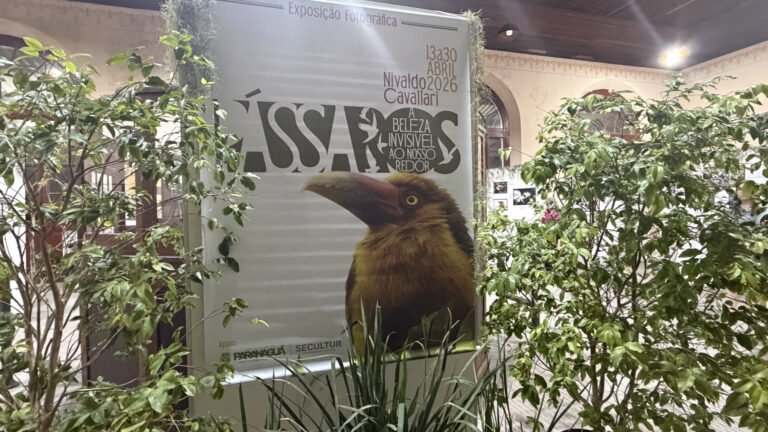 Exposição “Pássaros – A beleza invisível ao nosso redor” encanta público na Estação Ferroviária