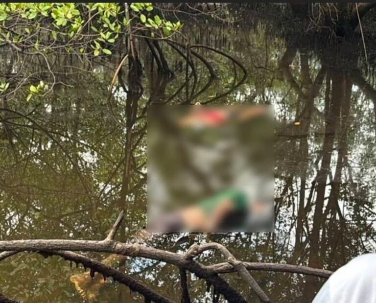 ATENÇÃO: RELATO APONTA ENCONTRO DE DOIS CORPOS EM ÁREA DE MANGUE EM PARANAGUÁ