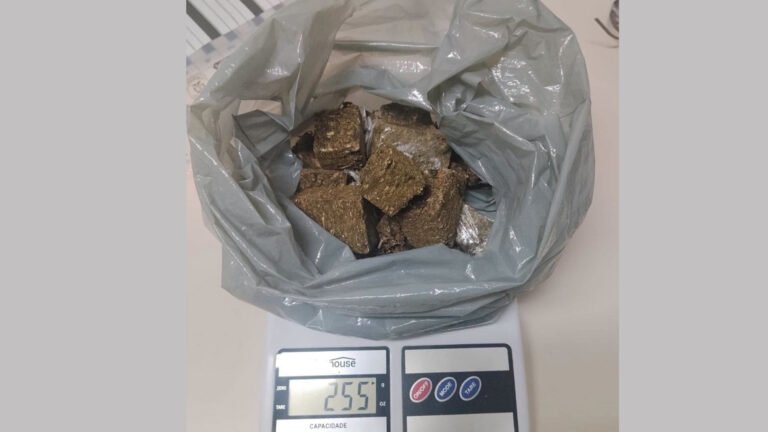 DROGAS SÃO APREENDIDAS NA ILHA DOS VALADARES, EM PARANAGUÁ