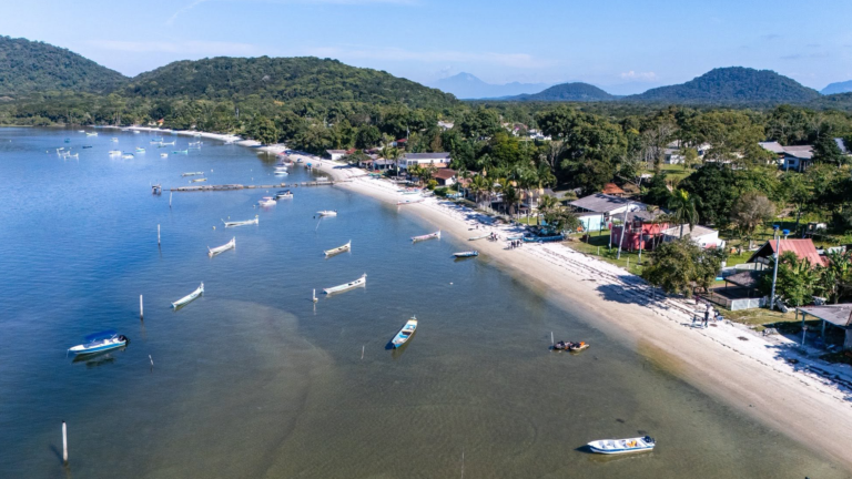 Festa do Marisco foi um sucesso e movimentou comunidades pesqueiras em Paranaguá
