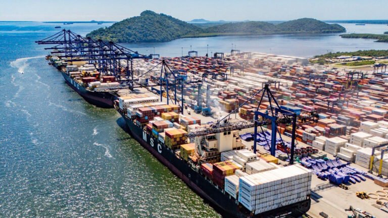 PORTO DE PARANAGUÁ BATE RECORDE E LIDERA EXPORTAÇÕES DE FRANGO NO BRASIL