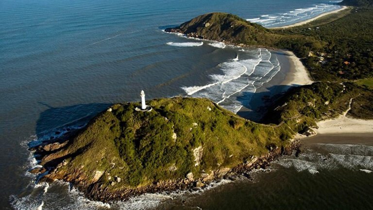 ILHA DO MEL CELEBRA A 32ª FESTA DA TAINHA COM GASTRONOMIA, SHOWS E TRADIÇÃO CAIÇARA