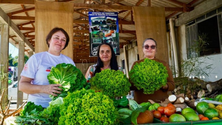 FESTA DO PRODUTOR RURAL REÚNE FAMÍLIAS E VALORIZA A AGRICULTURA FAMILIAR EM PARANAGUÁ