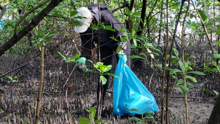 PARANAGUÁ TERÁ MUTIRÃO AMBIENTAL EM QUATRO PONTOS NO DIA 19 DE SETEMBRO